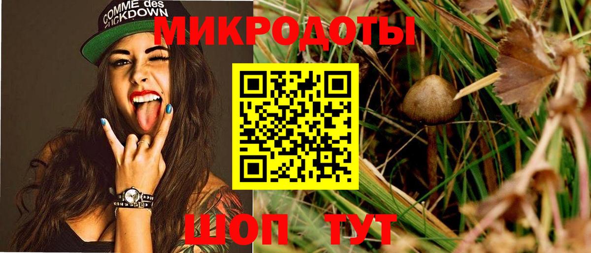 Галлюциногенные грибы Psilocybine cubensis Тольятти